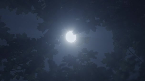 Mística Luna Cielo Nocturno Escenario Del Cosmos Iluminado Luz Luna — Vídeos de Stock