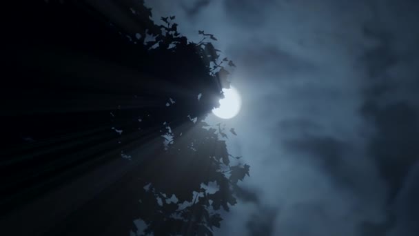 Spooky Dark Mystery Night Mood Full Moon Planet Space Universe — Video