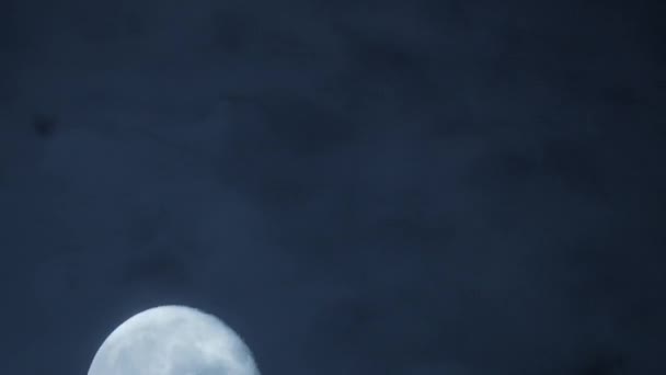 Mystieke Maan Nacht Hemellandschap Van Verlichte Kosmos Maanlicht Hoge Kwaliteit — Stockvideo