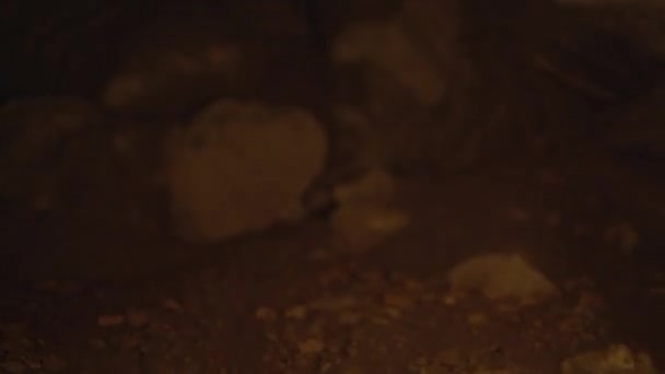 夜に石の洞窟の森で燃える火のトーチ ライトを握っている人 高品質の4K映像 — ストック動画
