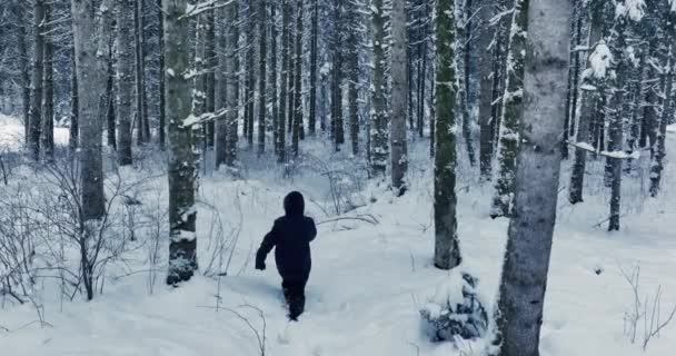 Caminante Caminando Nieve Profunda Aire Libre Paisaje Forestal Imágenes Alta — Vídeos de Stock