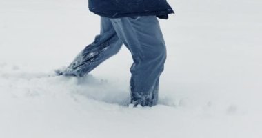 Orman arazisinde, açık havada yürüyüş yapan bir yürüyüşçü. Yüksek kalite 4k görüntü