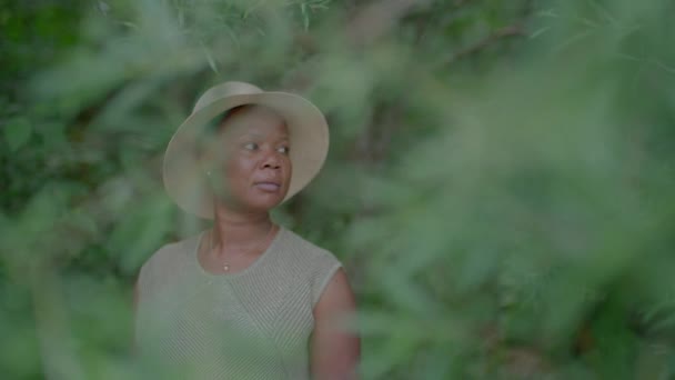 Mère Africaine Insouciante Pendant Grossesse Temps Maternité Profiter Vie Images — Video