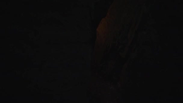Homme Tenant Une Torche Ardente Explorant Paysage Grotte Forestière Dans — Video