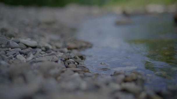 Riverbed Stones Skály Půda Příroda Krajina Krajina Vysoce Kvalitní Záběry — Stock video