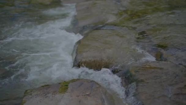 Piedras Río Rocas Suelo Naturaleza Paisaje Paisaje Imágenes Alta Calidad — Vídeos de Stock