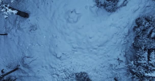 Cinematic Aerial View Snow Covered Winter Forest Trees Tájkép Kiváló — Stock videók