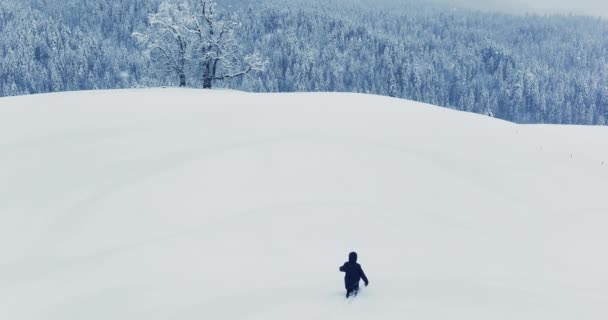 Förlorad Och Utmattad Person Vandring Vintern Äventyr Expedition Resa Högkvalitativ — Stockvideo