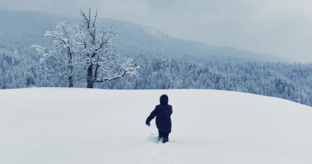 忘れられ 疲れ果てた人 冒険旅行で冬にハイキング 高品質の4K映像 — ストック動画
