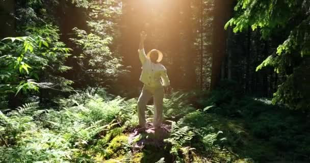 Persona Femenina Relajándose Aire Libre Paisaje Verde Pacífico Armonía Imágenes — Vídeos de Stock