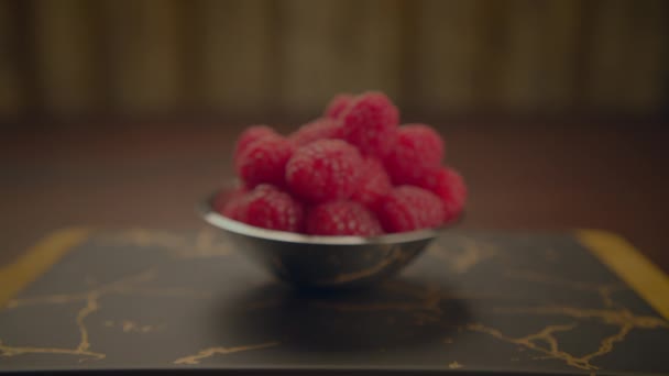 含有维生素和抗氧化剂的健康浆果食品背景 — 图库视频影像