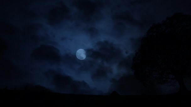 Час Лапс Повного Місяця Піднімається Єдиним Деревом Силует Темну Ніч — стокове відео