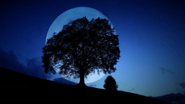 夜景背景下的神秘光照山水图景 — 图库视频影像