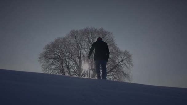 Ένας Άνθρωπος Πεζοπορία Εξωτερικούς Χώρους Χειμερινό Τοπίο Χιόνι — Αρχείο Βίντεο