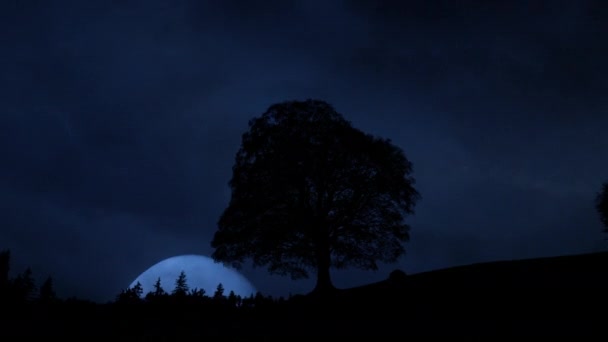 Dolunayın Zaman Hızı Karanlık Gece Tek Ağaç Siluetinin Arkasında Yükseliyor — Stok video