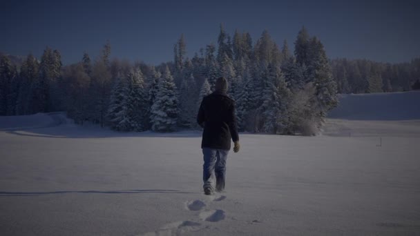 Persona Maschile Che Cammina Nella Neve Profonda Guardando Singolo Albero — Video Stock