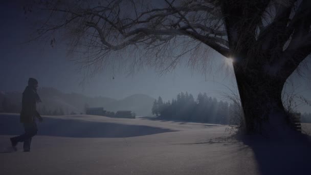 Muž Kráčející Hlubokém Sněhu Při Pohledu Jediný Strom — Stock video