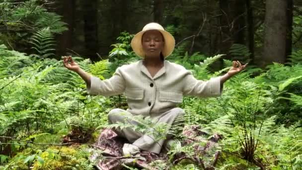 Jovem Mulher Africana Praticando Yoga Meditação Exercício Natureza Floresta Imagens — Vídeo de Stock