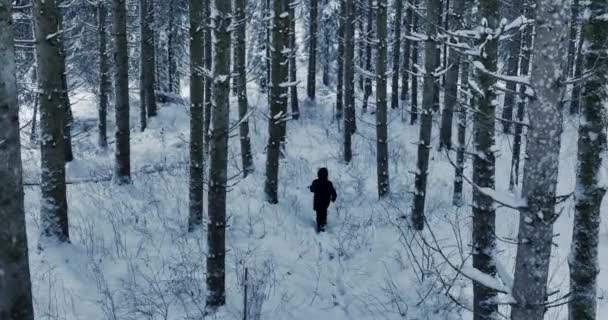 Caminante Caminando Nieve Profunda Aire Libre Paisaje Forestal Imágenes Alta — Vídeo de stock