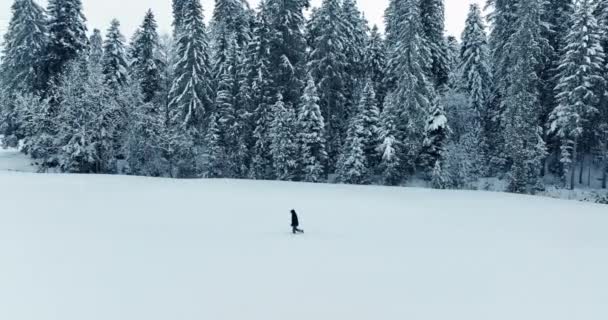 森林景観の深い雪の屋外で歩くハイカー 高品質の4K映像 — ストック動画