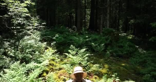 Жінка Відпочиває Відкритому Повітрі Мирному Зеленому Пейзажі Гармонії Високоякісні Кадри — стокове відео