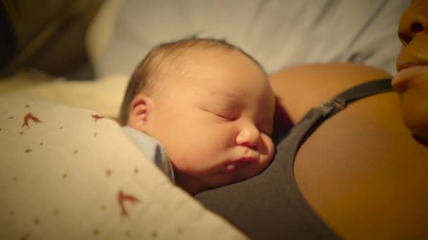 Ευτυχισμένη Νεαρή Γυναίκα Απολαμβάνει Την Μητρότητα Παιδί Παιδί Μετά Γέννηση — Αρχείο Βίντεο