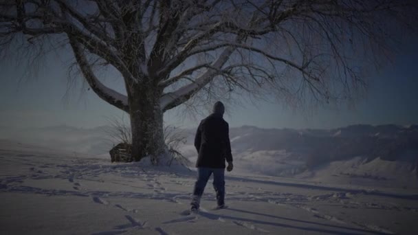 Persona Masculina Caminando Nieve Profunda Mirando Solo Árbol — Vídeos de Stock