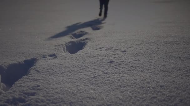 冬の雪景色で屋外をハイキングする男 — ストック動画