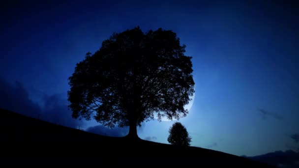 Dolunayın Zaman Hızı Karanlık Gece Tek Ağaç Siluetinin Arkasında Yükseliyor — Stok video