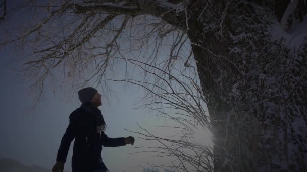 一个人在冬季雪景中远足户外 — 图库视频影像