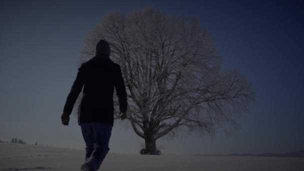 一个人在冬季雪景中远足户外 — 图库视频影像