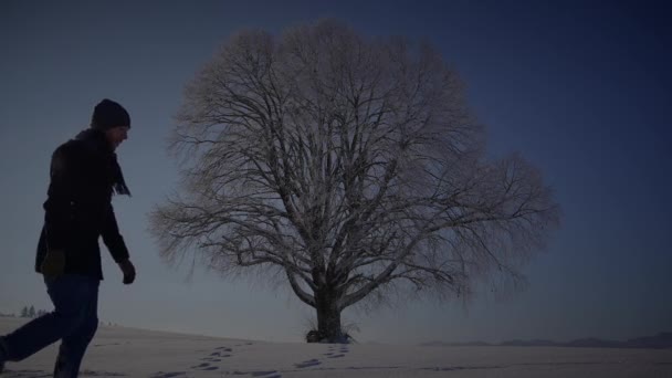 Mężczyzna Osoba Chodzenie Głęboki Śnieg Patrząc Pojedyncze Drzewo — Wideo stockowe