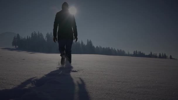 男子在深雪中漫步 望着单棵树 — 图库视频影像