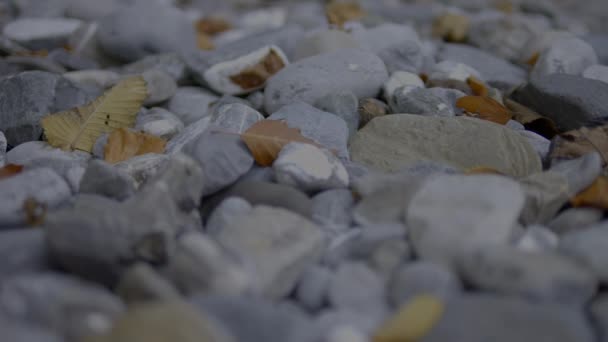 Velké Kameny Venku Říčním Korytě Příroda Krajina — Stock video