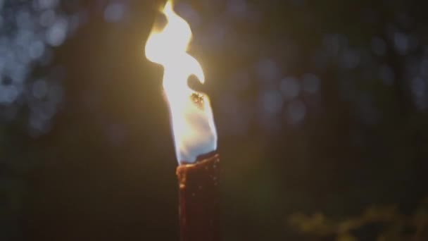 불타는 붙드는 고품질 — 비디오