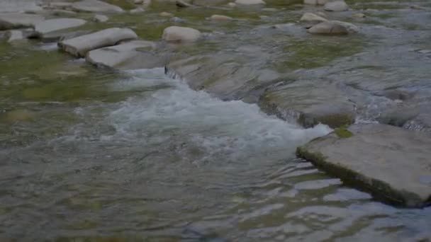 Річкове Ліжко Камені Скелі Грунт Природа Ландшафтний Пейзаж Високоякісні Кадри — стокове відео