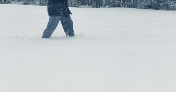 Turista Procházky Hlubokém Sněhu Venku Lesní Krajině Vysoce Kvalitní Záběry — Stock video