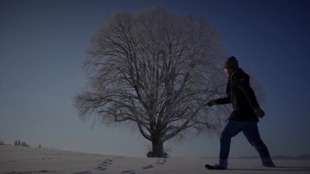 Один Человек Прогулки Открытом Воздухе Зимний Снежный Пейзаж — стоковое видео
