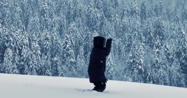 Πεζοπόρος Περπάτημα Βαθιά Χιόνι Υπαίθριες Στο Δάσος Τοπίο Υψηλής Ποιότητας — Αρχείο Βίντεο