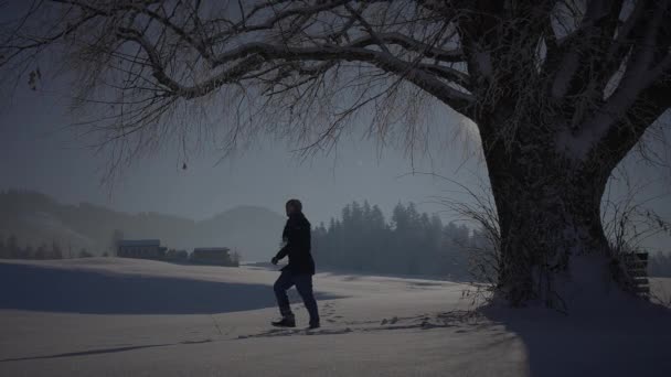 Derin Karda Yürüyen Erkek Tek Ağaca Bakıyor — Stok video
