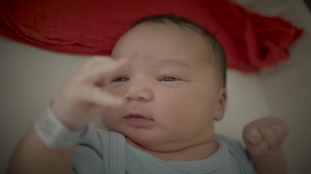 出産後にベビーベッドで横たわっている若い男性の幼児 — ストック動画