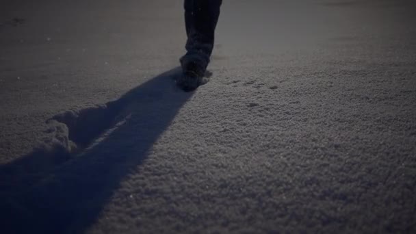 Mężczyzna Osoba Chodzenie Głęboki Śnieg Patrząc Pojedyncze Drzewo — Wideo stockowe