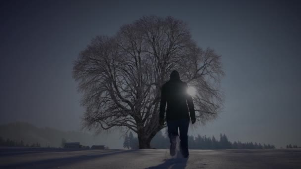 Persona Maschile Che Cammina Nella Neve Profonda Guardando Singolo Albero — Video Stock