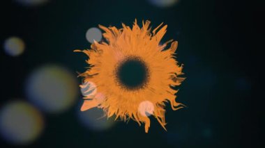 Güzel Çiçekler Çiçek desenli desen desen dekorasyon arkaplanı