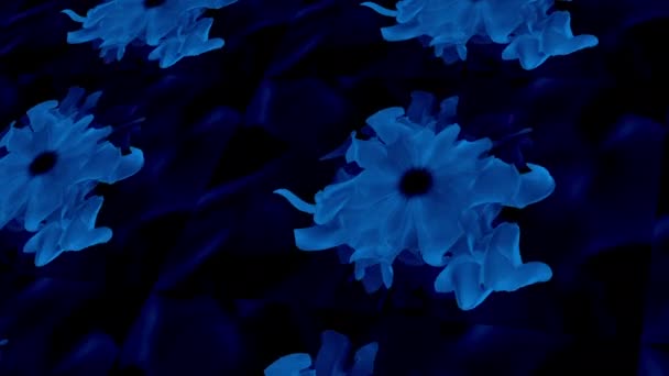 Ett Slående Mönster Elektriska Blå Blommor Mot Mörk Svart Bakgrund — Stockvideo