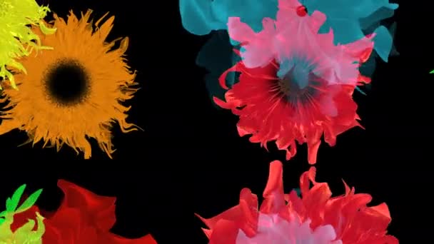 Gyönyörű Virágzó Virágok Flora Mintás Textúra Dekoráció Háttér — Stock videók