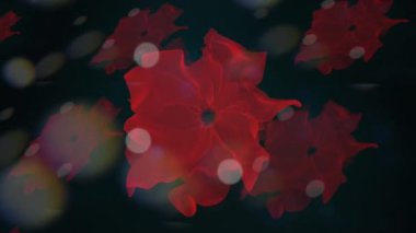 Renkli Canlı Çiçek Yaprakları Dalga Hareketi Grafik Arkaplanı