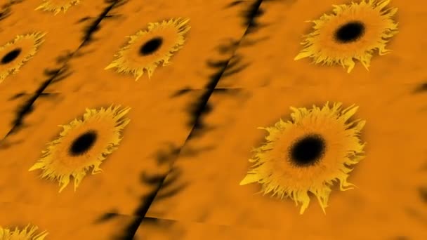 在明亮的黄色背景上的向日葵图案的详细特写 用琥珀色和橙色花瓣展现了这种陆生植物的复杂美丽 — 图库视频影像