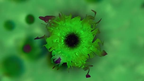 Vackra Blommande Blommor Flora Mönster Struktur Dekoration Bakgrund — Stockvideo