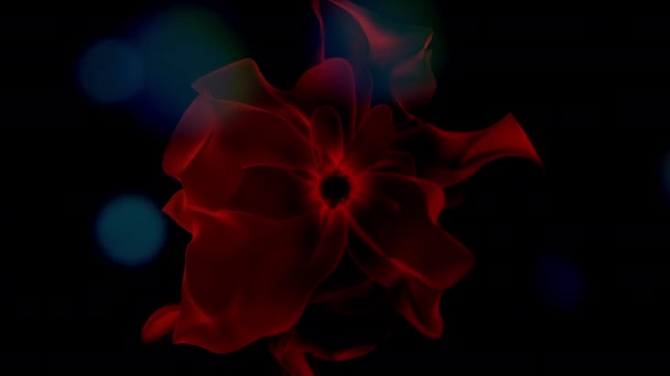 美丽的花朵花花型纹理装饰背片 — 图库视频影像